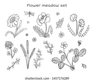 Vector flowers set. Naive childish illustration with cute flowers and insects. Strawberries, chamomile, dandelion, clover, spikes, poppy flower. Butterfly, dragonfly, ladybug, honey bee.