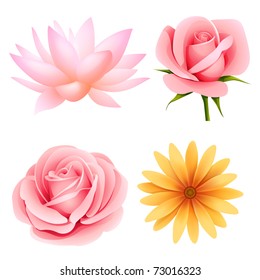 Vector flowers set of rose, lotus, daisy isolated on white