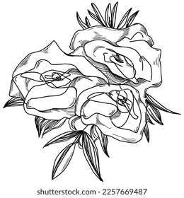 Vector Flowers summer. Isolated botanical flower, leaves. Black and white engraved sketch ink art. Leaf plant botanical garden floral foliage. Wildflower drawing leaf illustration element.