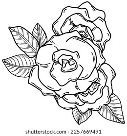 Vector Flowers summer. Isolated botanical flower, leaves. Black and white engraved sketch ink art. Leaf plant botanical garden floral foliage. Wildflower drawing leaf illustration element.