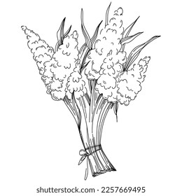 Vector Flowers summer. Isolated botanical flower, leaves. Black and white engraved sketch ink art. Leaf plant botanical garden floral foliage. Wildflower drawing leaf illustration element.