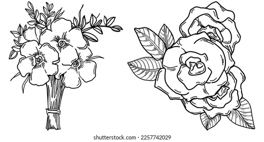 Vector Flores verano. Flor botánica aislada, hojas. Dibujo de tinta con grabado en blanco y negro. Planta de hojas de follaje floral de jardín botánico. Elemento de ilustración de dibujo de flores silvestres.
