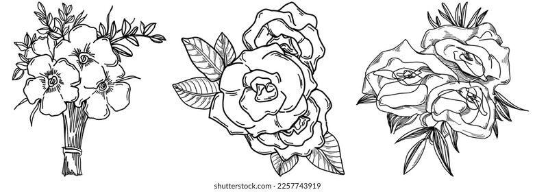 Vector Flowers summer. Isolated botanical flower, leaves. Black and white engraved sketch ink art. Leaf plant botanical garden floral foliage. Wildflower drawing leaf illustration element.