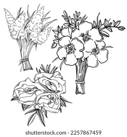 Vector Flowers summer. Isolated botanical flower, leaves. Black and white engraved sketch ink art. Leaf plant botanical garden floral foliage. Wildflower drawing leaf illustration element.