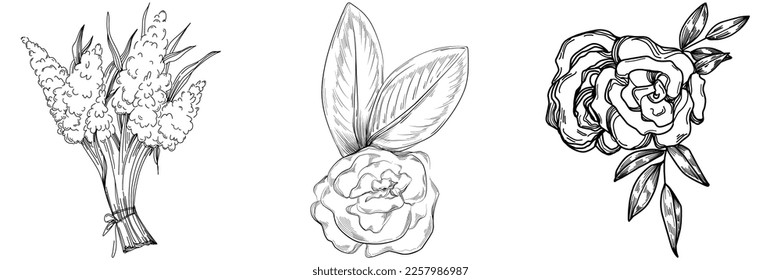 Vector Flowers summer. Isolated botanical flower, leaves. Black and white engraved sketch ink art. Leaf plant botanical garden floral foliage. Wildflower drawing leaf illustration element.