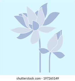 Vector flowers. Water lily, lotus.