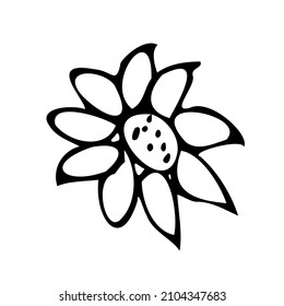 Vector flowers,botany plants, doodles for Valentine's Day cards for design works