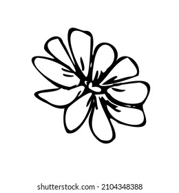Flores vectoriales, plantas botánicas, garabatos para tarjetas de San Valentín para trabajos de diseño