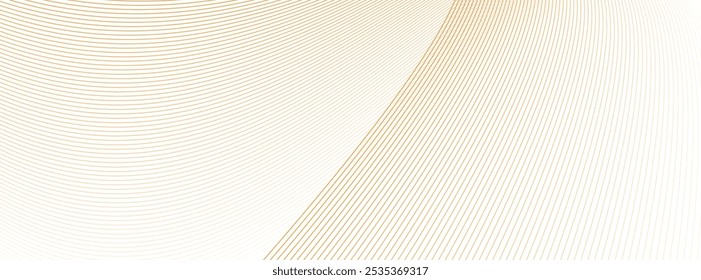 vector flowing lines and gradients blend background