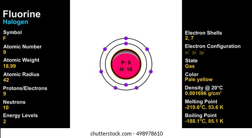 Vector - Fluorine Atom