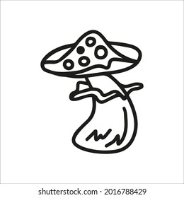 Vector fly agaric, amanita, poisonous mushroom isolated on white background icon. Illustration for seasonal design, textile, decoration kids playroom or greeting card. Hand drawn prints and doodle.
