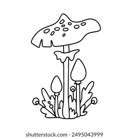 Vector fly agaric mushrooms. Cartoon mushrooms in the grass with berries. Outline drawing of fly agaric. Amanita muscaria