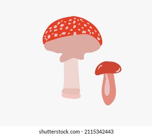 vector fly agaric set in flat and cartoon style on a white background, simple illustration of mushrooms