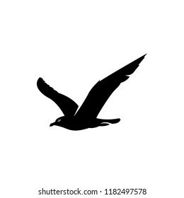 vector fly gull silhouette, albatross bird