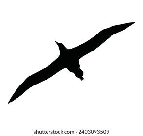 Vector fly gull silhouette, albatross bird.