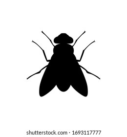 vector fly illustration. fly silhouette