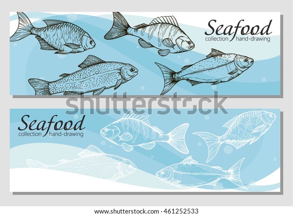 水中の魚が線形にシルエットされたベクターチラシ 鯛 鯉 鱒 鮭 ビンテージ風のスケッチ デザイン用の魚のイラスト 付きパンフレット のベクター画像素材 ロイヤリティフリー