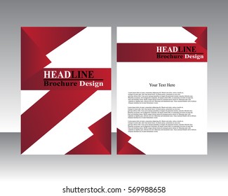 Vector flyer template design. For business brochure