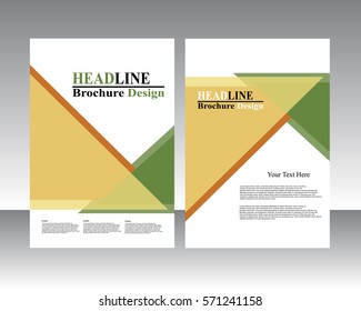 Vector flyer template design. For business brochure