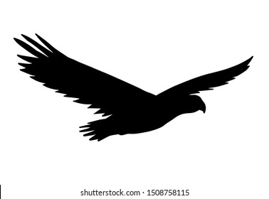 Vector flying American eagle silhouette isolated on white background