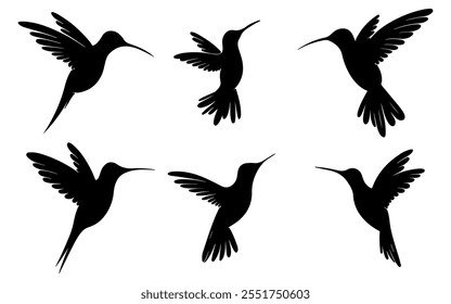 Vector flying Bird Silhouette onj white background.