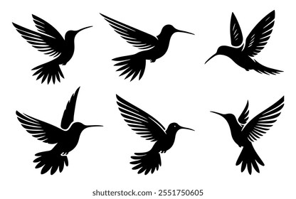 Vector flying Bird Silhouette onj white background.