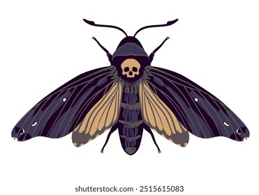 Vector flying butterfly. Hawk moth Dead head . Symbol of mysticism, occultism, magic. Colored moth on a white background.