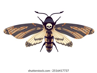 Vector flying butterfly. Hawk moth Dead head . Symbol of mysticism, occultism, magic. Colored moth on a white background.