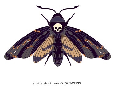 Vector flying butterfly. Hawk moth Dead head . Symbol of mysticism, occultism, magic. Colored moth on a white background.