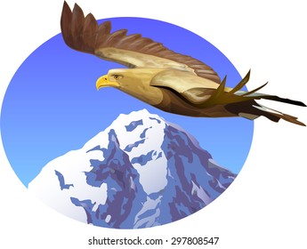 Vector flying eagle on the background of snowy mountains