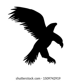 Vector flying eagle silhouette isolated on white background