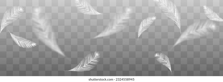 Vector flying feathers. Flying feathers png. Goose or chicken feathers. Filler for pillows, blankets, jackets. Realistic feathers png.