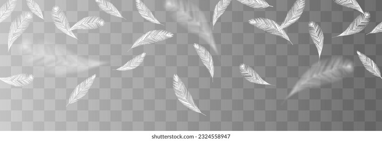 Vector flying feathers. Flying feathers png. Goose or chicken feathers. Filler for pillows, blankets, jackets. Realistic feathers png.