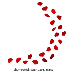 Vector. Flying red rose petals.