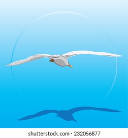 Vector flying seagull isolated on blue background with its shadow.