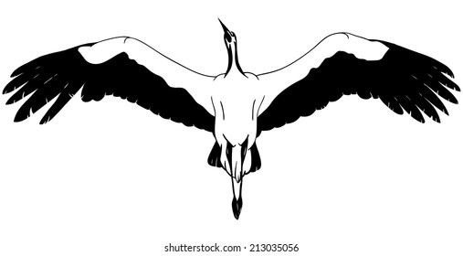 vector - Flying White Stork - isolated on background