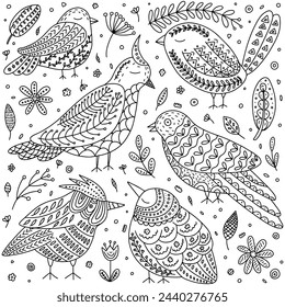 Vector de arte popular pájaros doodle conjunto