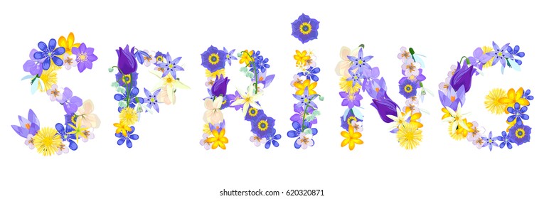Vector font composition with the word spring from flowers