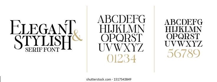 vector font illustration. Stylish elegant thin vector composite font serif. set of letters English alphabet. uppercase letters, lowercase letters and numbers