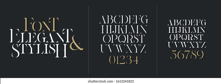 vector font illustration. Stylish elegant thin vector composite font serif with invisible contrast. set of letters English alphabet. uppercase letters, lowercase letters and numbers