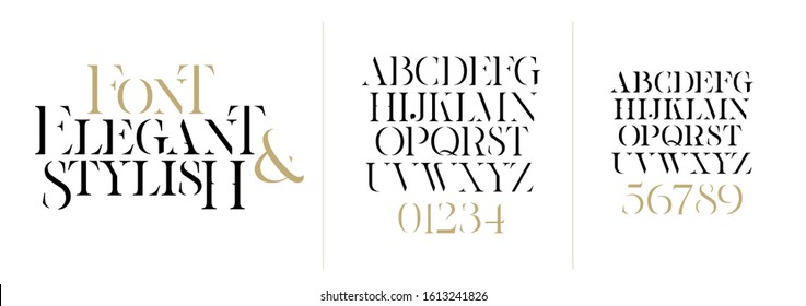 ilustração de fonte vetorial. Serif de fonte composta de vetor fino elegante elegante com contraste invisível. conjunto de letras alfabeto inglês. letras maiúsculas, letras minúsculas e números