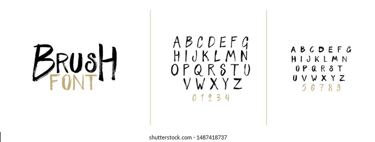 vector font set. Hand-drawn decorative font by brush. set of letters in the style of the brush stroke. hipster style