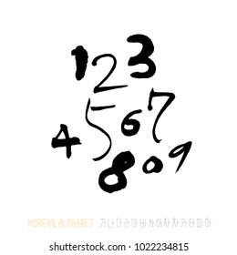Vector fonts / Handwritten calligraphy