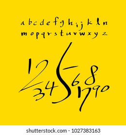 Vector fonts / Handwritten calligraphy 