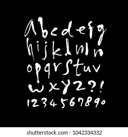 Vector fonts / Handwritten calligraphy