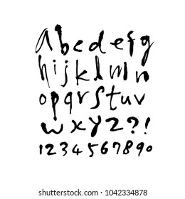 Vector fonts / Handwritten calligraphy 