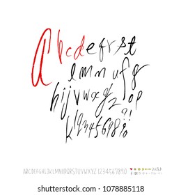 Vector fonts / Handwritten calligraphy 