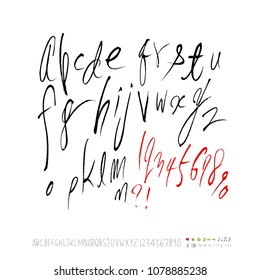 Vector fonts / Handwritten calligraphy 