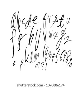 Vector fonts / Handwritten calligraphy 