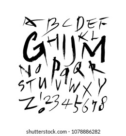 Vector fonts / Handwritten calligraphy 